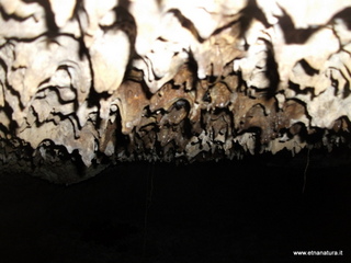 otta Petralia-17-03-2013 10-07-56
